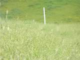0 Douglas Rd. (Lot 43) - Photo 8