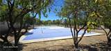 3024 Sonrisa Drive - Photo 37