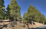 2402 Spring Oak - Photo 6