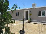14555 Artesia Trail - Photo 10