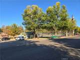 41307 Park Avenue - Photo 6
