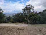 1087 Loma - Photo 10