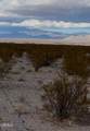 27 Cheyene - Photo 27