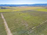 48655 Lockwood Jolon Road - Photo 38