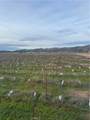 48655 Lockwood Jolon Road - Photo 60
