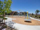 29425 Bovenzi Way - Photo 38