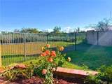 13791 Shadow Ridge Dr. - Photo 4