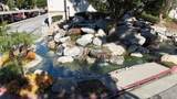 4900 Grand Avenue - Photo 19