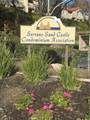 21245 Camelia - Photo 12