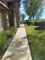 21245 Camelia - Photo 15