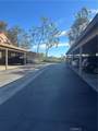 21245 Camelia - Photo 22