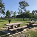 17031 Ward - Photo 51