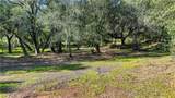 0 Avenida Perla Bonita - Photo 15