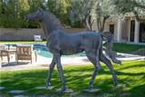 73310 Ironwood Street - Photo 68