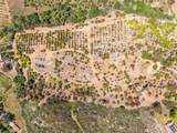 0 Las Palmeras Drive - Photo 14