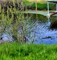 13488 Marina Village - Photo 4