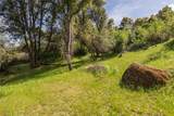 50566 Critter Creek Lane - Photo 30