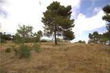0 Linda Vista - Photo 10
