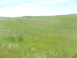 0 Douglas Rd. (Lot 42) - Photo 12