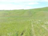 0 Douglas Rd. (Lot 42) - Photo 13
