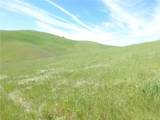 0 Douglas Rd. (Lot 42) - Photo 14