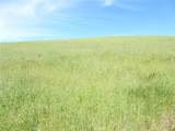 0 Douglas Rd. (Lot 42) - Photo 15