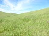 0 Douglas Rd. (Lot 42) - Photo 16