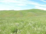 0 Douglas Rd. (Lot 42) - Photo 4