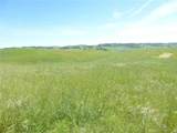 0 Douglas Rd. (Lot 42) - Photo 5