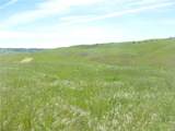 0 Douglas Rd. (Lot 42) - Photo 6