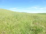 0 Douglas Rd. (Lot 42) - Photo 8