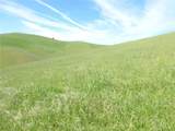 0 Douglas Rd. (Lot 42) - Photo 10