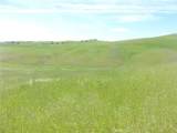 0 Douglas Rd. (Lot 43) - Photo 14