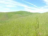 0 Douglas Rd. (Lot 43) - Photo 15