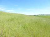 0 Douglas Rd. (Lot 43) - Photo 6
