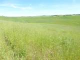 0 Douglas Rd. (Lot 43) - Photo 7