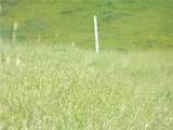 0 Douglas Rd. (Lot 43) - Photo 8