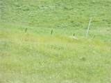 0 Douglas Rd. (Lot 43) - Photo 9