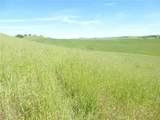 0 Douglas Rd. (Lot 43) - Photo 10