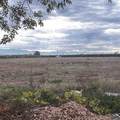 39088 39088 Road 104 Dinuba, Ca - Photo 1