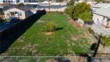 21704 Dracacea - Photo 10
