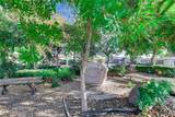 3530 Damien - Photo 47