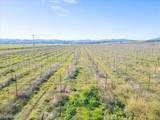 48655 Lockwood Jolon Road - Photo 25