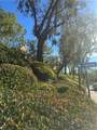 21245 Camelia - Photo 32