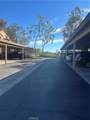 21245 Camelia - Photo 42