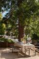 28989 Palisades - Photo 14