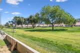 5446 Trevino - Photo 20