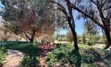 7063 Via Mariposa Norte - Photo 64