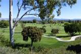 3021 Via Buena Vista - Photo 41