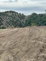 15 Camino Gatillo - Photo 7